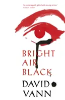 Jasný vzduch čiernej farby - Bright Air Black