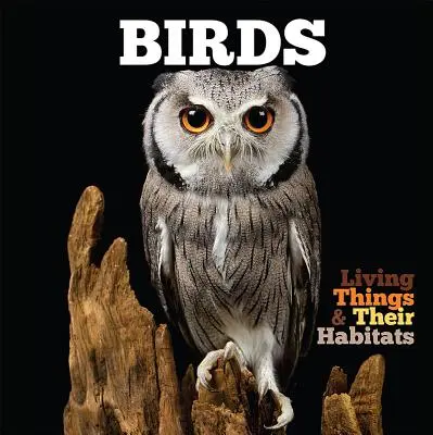 Vtáky - Birds