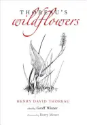 Thoreauove divoké kvety - Thoreau's Wildflowers
