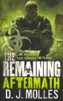 Zostáva: Aftermath - Remaining: Aftermath