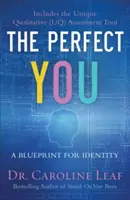 Dokonalé ja: Plán pre identitu - The Perfect You: A Blueprint for Identity