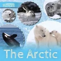 Arktída - Arctic