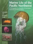 Morský život severozápadného Pacifiku: Fotografická encyklopédia bezstavovcov, morských rias a vybraných rýb - Marine Life of the Pacific Northwest: A Photographic Encyclopedia of Invertebrates, Seaweeds and Selected Fishes