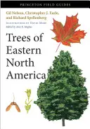 Stromy východnej časti Severnej Ameriky - Trees of Eastern North America