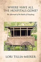 Kam zmizli všetky nemocnice?: Následky bitky pri Gettysburgu - Where Have All the Hospitals Gone?: The Aftermath of the Battle of Gettysburg