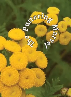 Zázračné putovanie - The Puttering Marvel