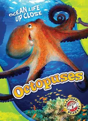 Chobotnice - Octopuses