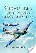Prežívajúce stíhacie lietadlá druhej svetovej vojny - Surviving Fighter Aircraft of World War Two