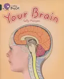 Váš mozog - Your Brain