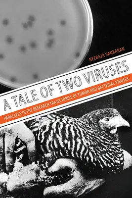 Príbeh dvoch vírusov: Paralely vo výskumných dráhach nádorových a bakteriálnych vírusov - A Tale of Two Viruses: Parallels in the Research Trajectories of Tumor and Bacterial Viruses