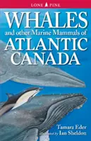 Veľryby a iné morské cicavce Atlantického oceánu v Kanade - Whales and Other Marine Mammals of Atlantic Canada
