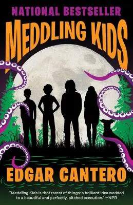 Vtieravé deti - Meddling Kids