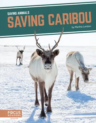 Záchrana karibu - Saving Caribou