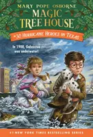 Hrdinovia hurikánu v Texase - Hurricane Heroes in Texas