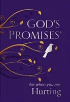 Božie zasľúbenia pre prípad, že sa trápite - God's Promises for When You Are Hurting