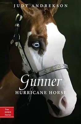 Gunner: Hurikánový kôň - Gunner: Hurricane Horse