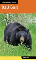 Čierne medvede - Black Bears