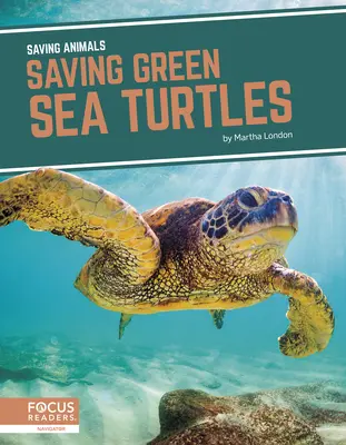 Záchrana zelených morských korytnačiek - Saving Green Sea Turtles