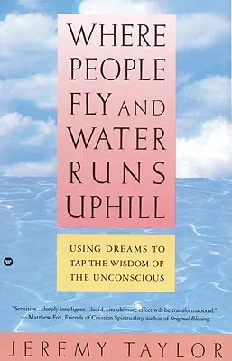 Kde ľudia lietajú a voda tečie do kopca: Sny na využitie múdrosti podvedomia - Where People Fly and Water Runs Uphill: Using Dreams to Tap the Wisdom of the Unconscious
