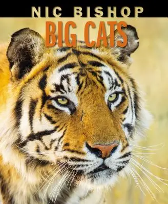 Nic Bishop Veľké mačky - Nic Bishop Big Cats