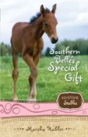 Zvláštny dar Southern Belle, 3 - Southern Belle's Special Gift, 3