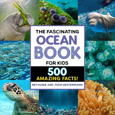 Fascinujúca kniha o oceánoch pre deti: 500 neuveriteľných faktov! - The Fascinating Ocean Book for Kids: 500 Incredible Facts!