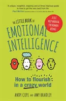 Malá kniha o emocionálnej inteligencii: Ako prosperovať v bláznivom svete - The Little Book of Emotional Intelligence: How to Flourish in a Crazy World