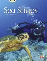Klub chrobákov Samostatná literatúra faktu 1. ročník Zelená A Sea Snaps - Bug Club Independent Non Fiction Year 1 Green A Sea Snaps