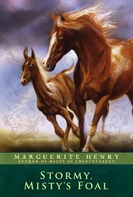 Stormy, Mistyino žriebä - Stormy, Misty's Foal