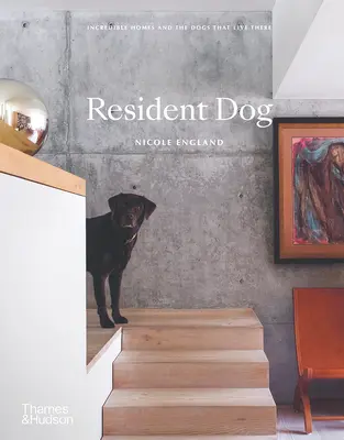 Resident Dog: Psy, ktoré v nich žijú: Neuveriteľné domovy a psy, ktoré v nich žijú - Resident Dog: Incredible Homes and the Dogs That Live There