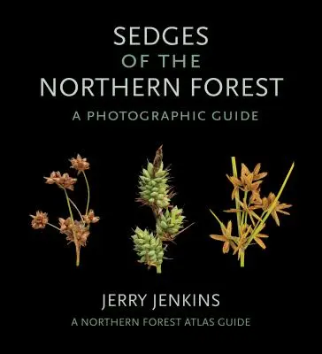 Sedges of the Northern Forest: Fotografický sprievodca - Sedges of the Northern Forest: A Photographic Guide