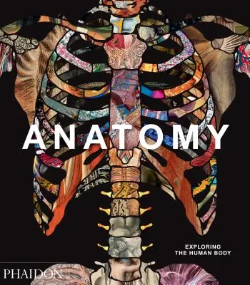 Anatómia: Skúmanie ľudského tela - Anatomy: Exploring the Human Body