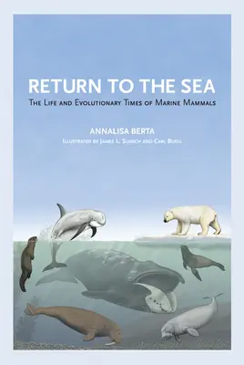 Návrat k moru: Život a vývoj morských cicavcov - Return to the Sea: The Life and Evolutionary Times of Marine Mammals
