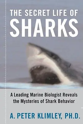 Tajný život žralokov: Popredný morský biológ odhaľuje tajomstvá správania žralokov - The Secret Life of Sharks: A Leading Marine Biologist Reveals the Mysteries of Shark Behavior