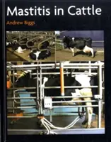 Mastitída u hovädzieho dobytka - Mastitis In Cattle