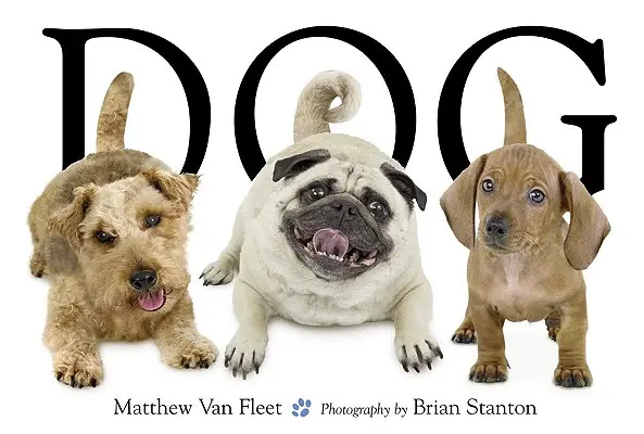 Pes - Dog