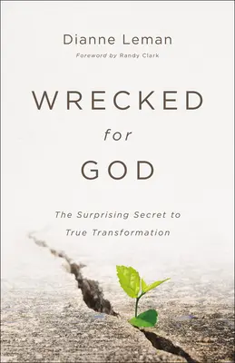 Zničení pre Boha: Prekvapujúce tajomstvo skutočnej premeny - Wrecked for God: The Surprising Secret to True Transformation