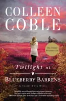 Súmrak v Blueberry Barrens - Twilight at Blueberry Barrens