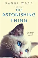 Úžasná vec - The Astonishing Thing