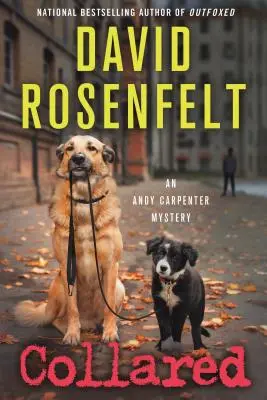 Collared: Záhada Andyho Carpentera - Collared: An Andy Carpenter Mystery