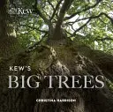 Veľké stromy v Kew - Kew's Big Trees