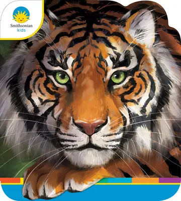 Tigre - Tigers