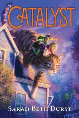 Katalyzátor - Catalyst