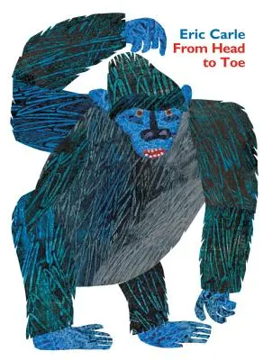 Od hlavy po päty Polstrovaná kniha - From Head to Toe Padded Board Book