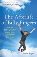 Posmrtný život Billyho Fingersa: Ako mi môj brat zloduch dokázal, že po smrti existuje život - Afterlife of Billy Fingers: How My Bad-Boy Brother Proved to Me There's Life After Death