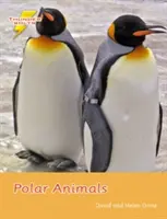 Polárne zvieratá - sada 4 - Polar Animals - Set 4