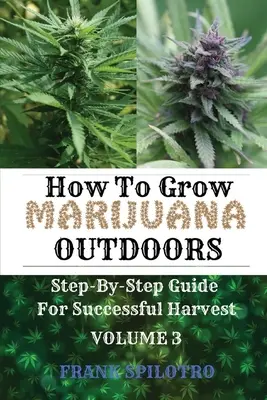 Ako pestovať marihuanu vonku: Sprievodca krok za krokom pre úspešnú úrodu - How to Grow Marijuana Outdoors: Step-By-Step Guide for Successful Harvest