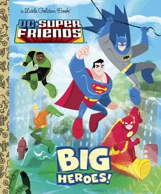 DC Super Friends: Veľkí hrdinovia! - DC Super Friends: Big Heroes!