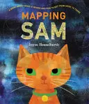 Mapovanie Sama - Mapping Sam