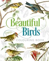 Krásne vtáky na vyfarbovanie - Beautiful Birds Colouring Book